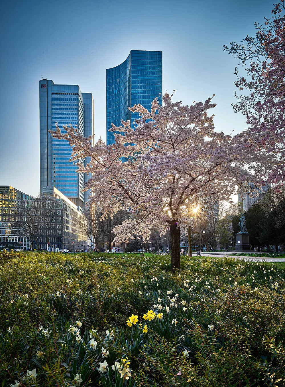 Blick auf den Skyper Turm von der Taunusanlage.
